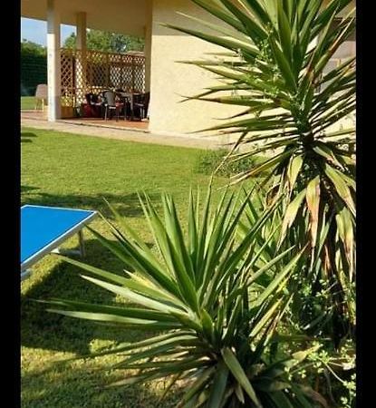 Green Garden Viareggio Eksteriør bilde