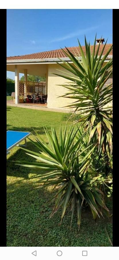 Green Garden Viareggio Eksteriør bilde